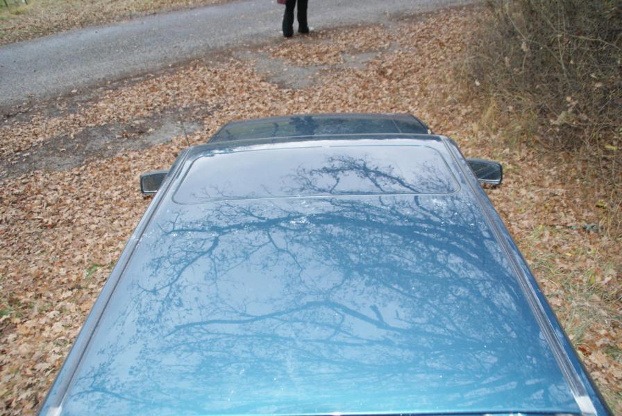 K800_DSC03899.JPG
