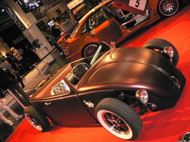 Rod_beetle.JPG