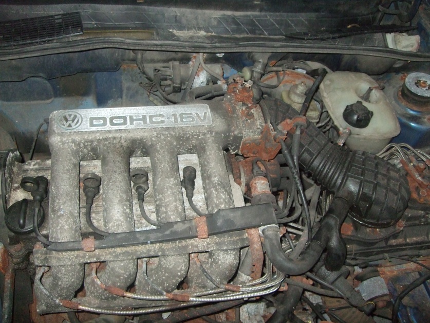 DSCF0392.jpg