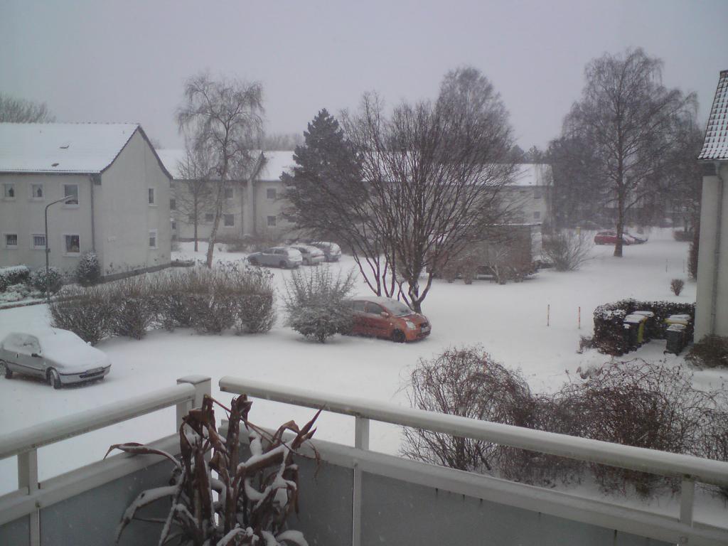 DSC00083.jpg