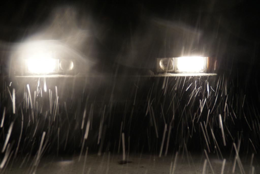 DSC03981 - Kopie.jpg