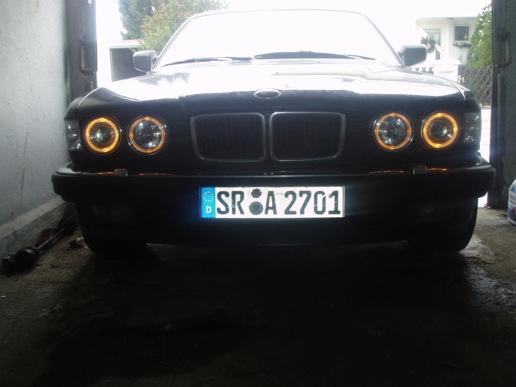 P1010458.jpg