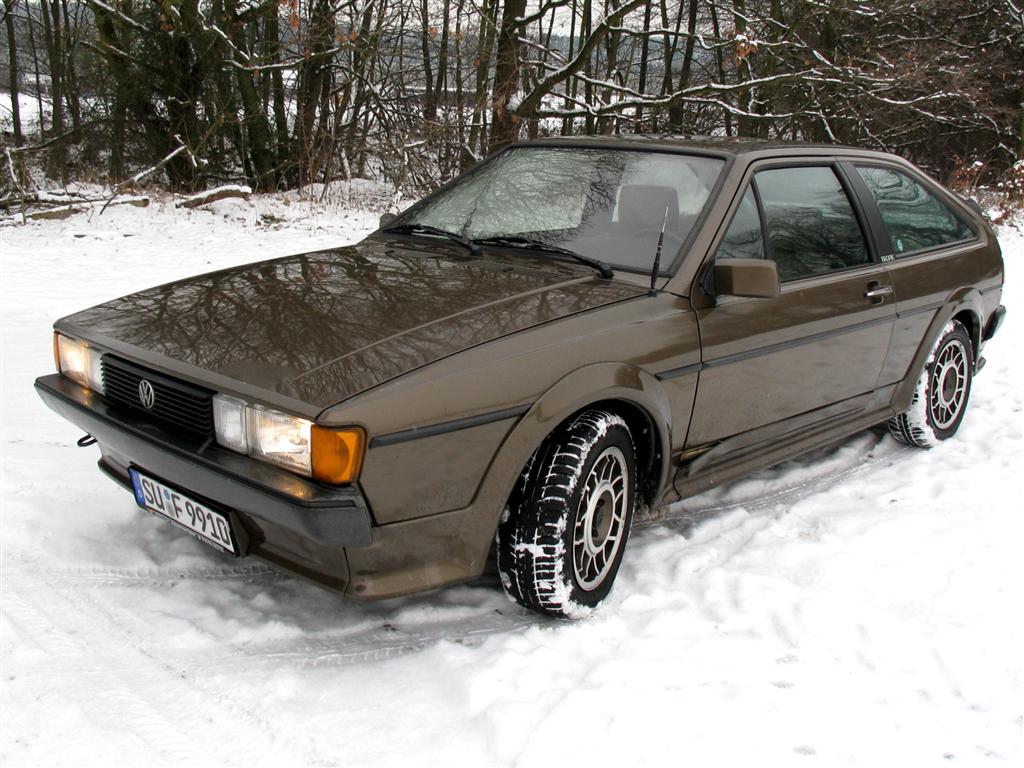 IMG_6460 (Large).jpg