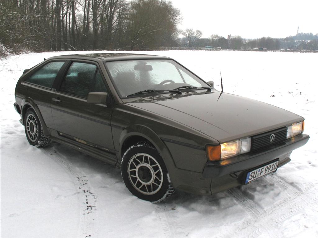 IMG_6461 (Large).jpg