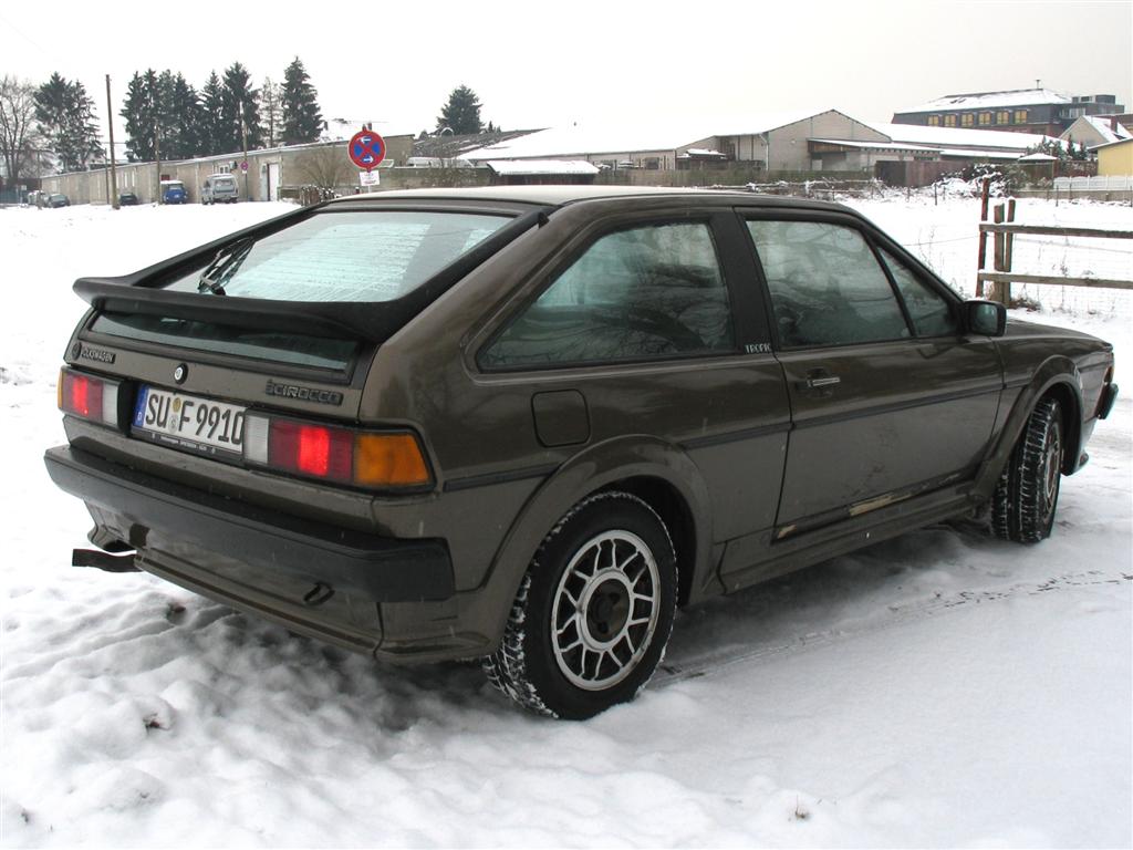 IMG_6463 (Large).jpg