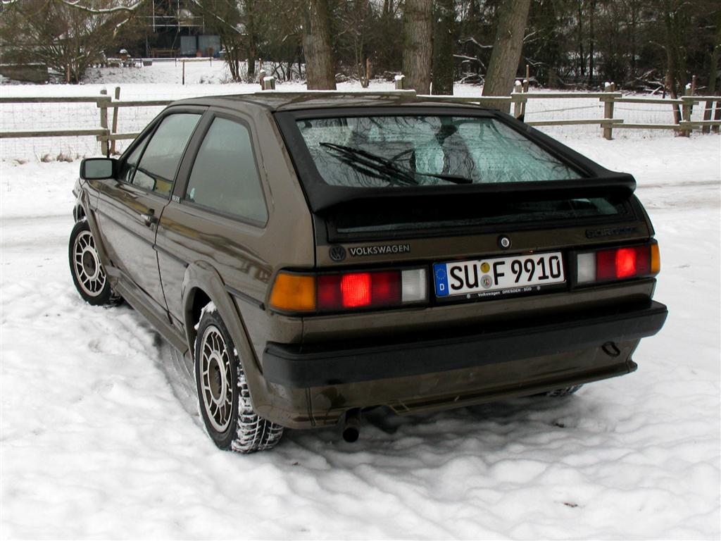 IMG_6464 (Large).jpg