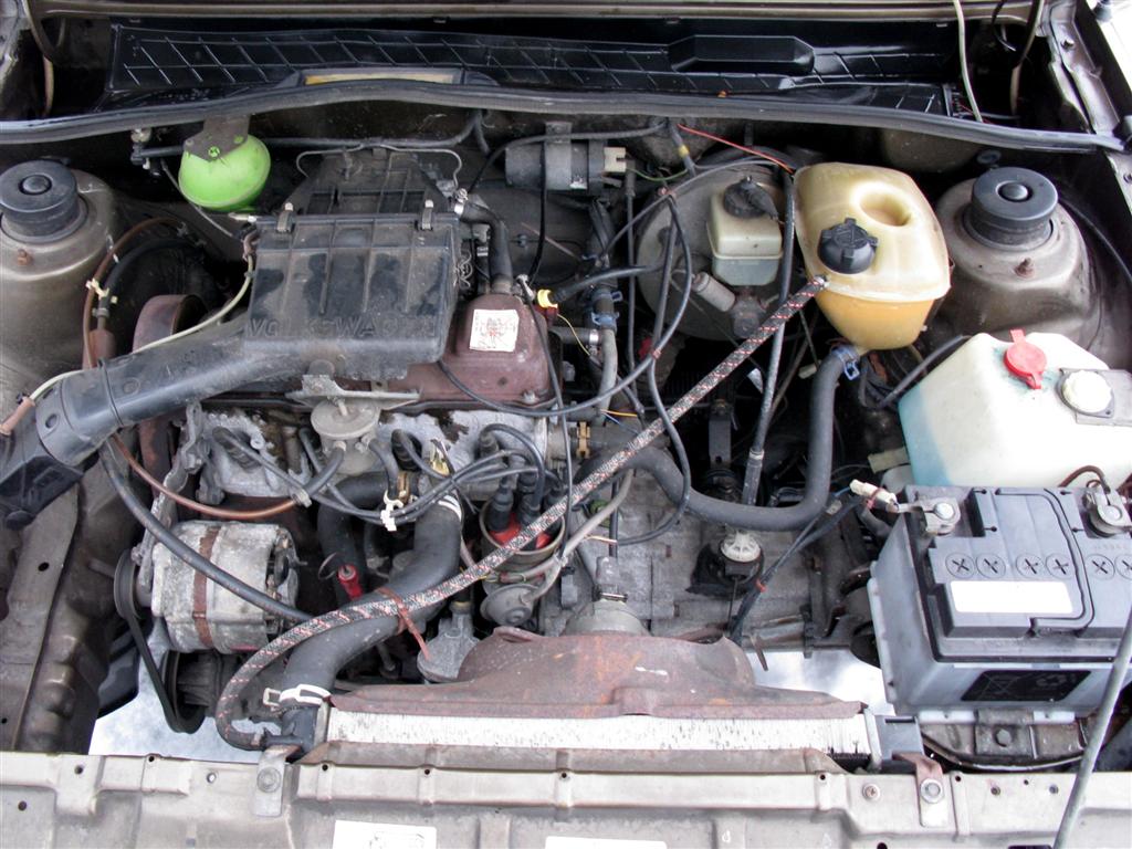 IMG_6468 (Large).jpg