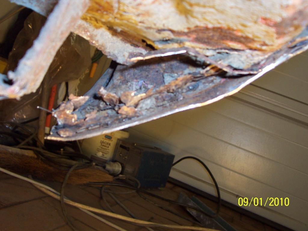 09.01.2010 004.jpg