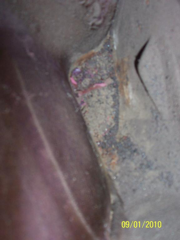09.01.2010 007.jpg