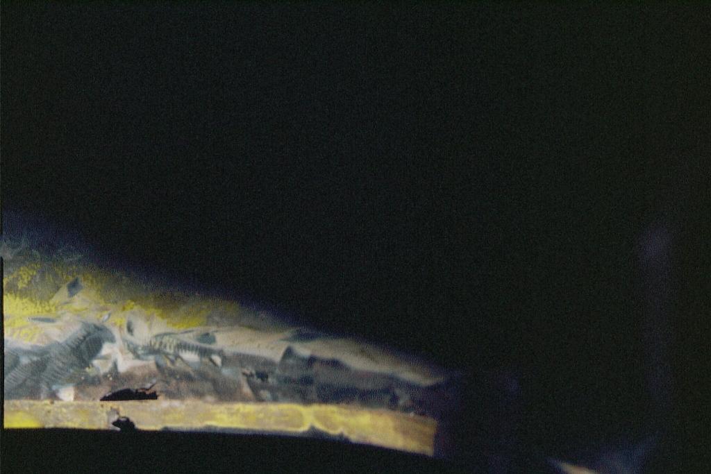 Bild041_Neg.Nr.41.jpg