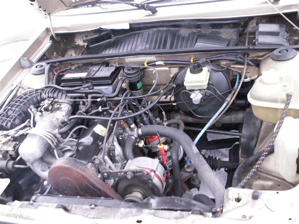 PICT0028 (Large).JPG