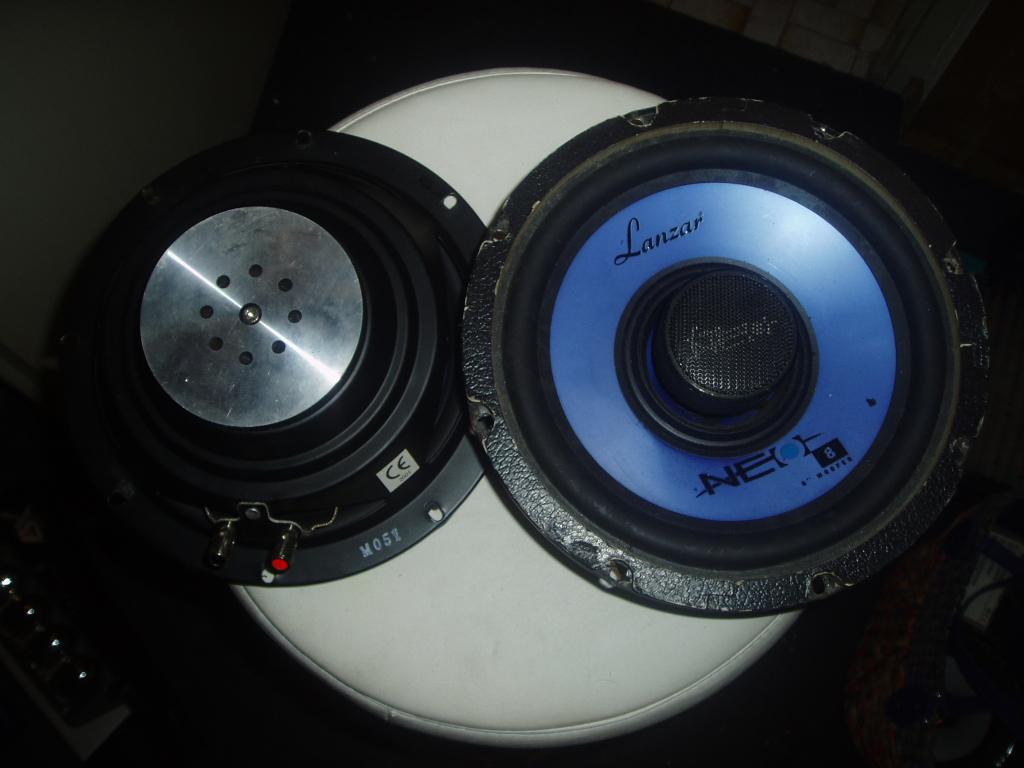 P1010025.jpg
