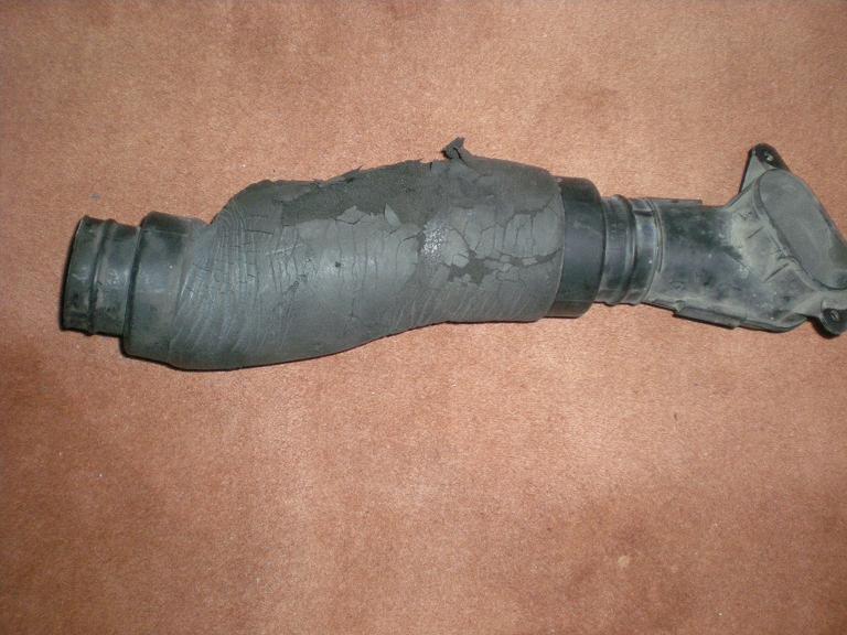 DSCN2433.JPG