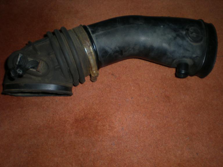 DSCN2447.JPG