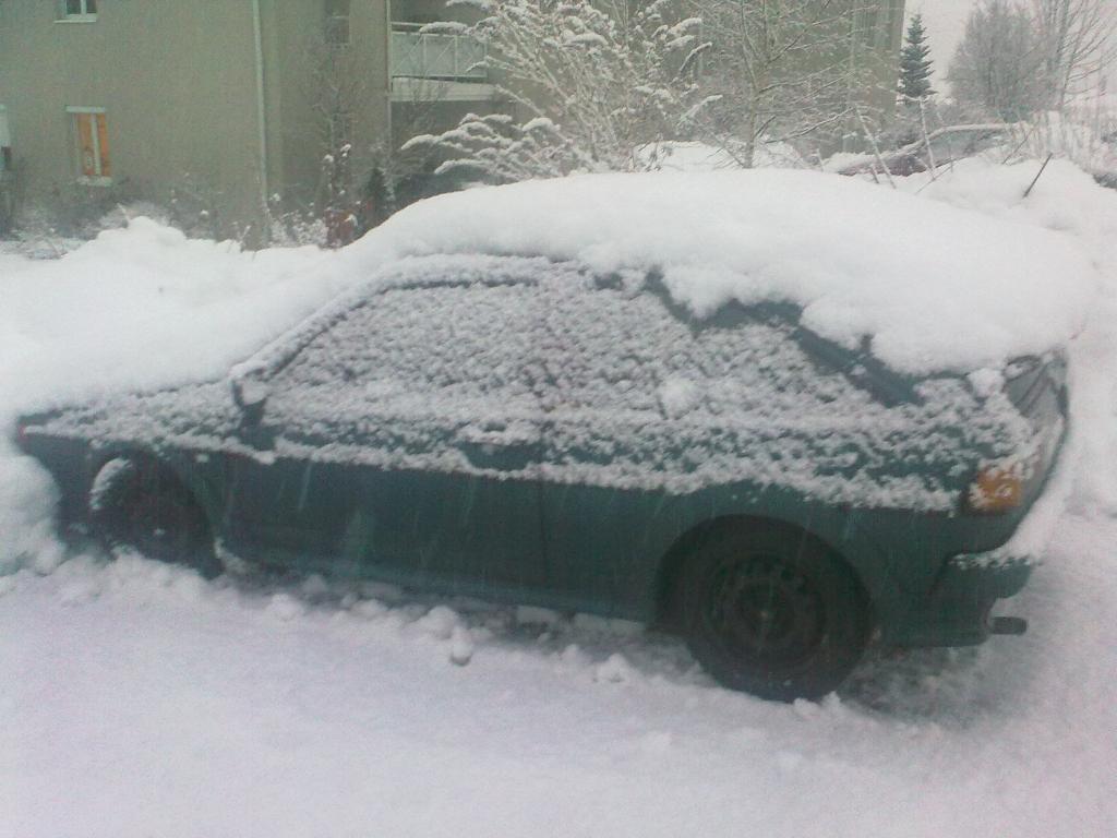 03022010394.jpg