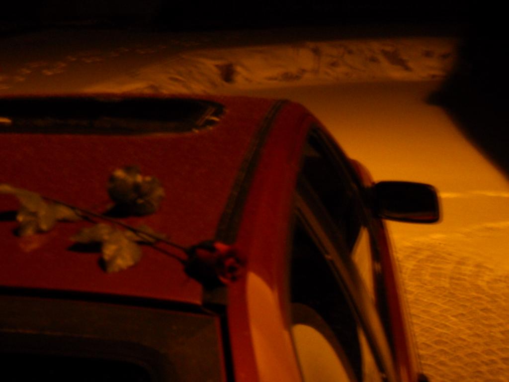 DSCN0102.jpg