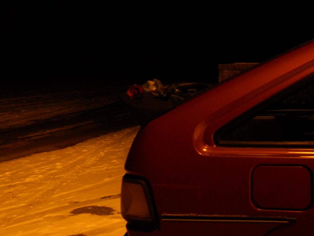 DSCN0096.jpg