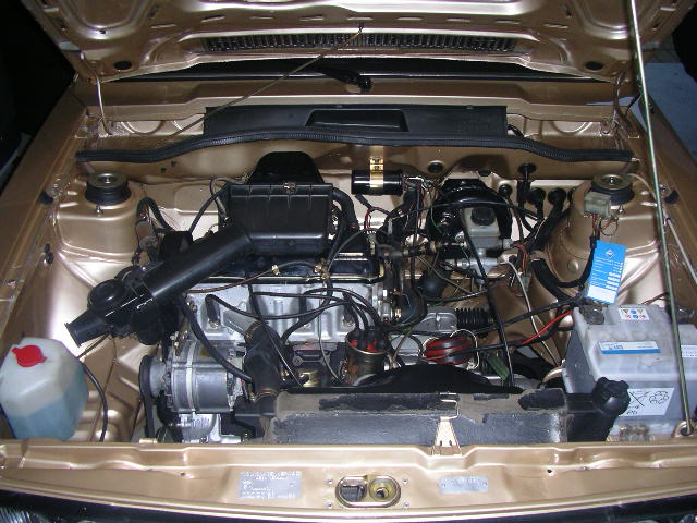 sciroccogold8.jPG