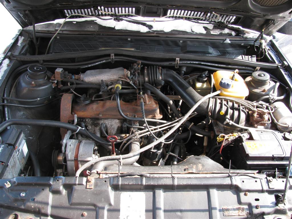 IMG_2692 (Large).JPG