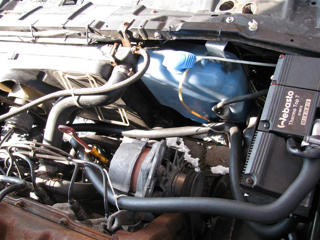 IMG_2697 (Large).JPG