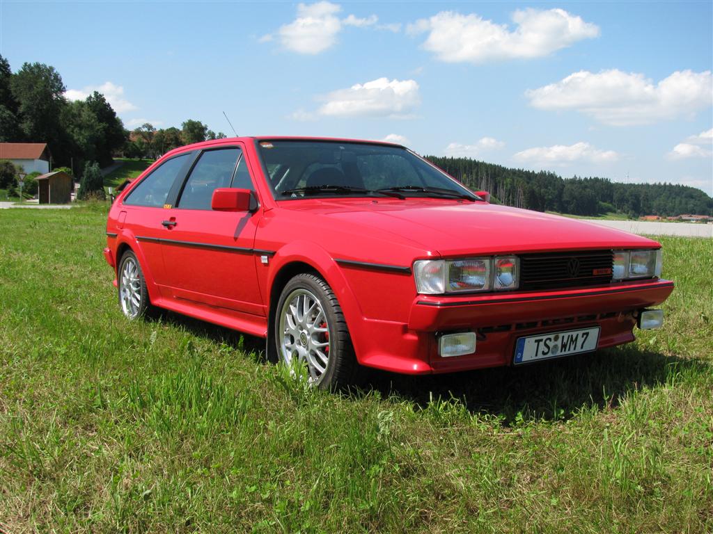 IMG_1586 (Large).JPG