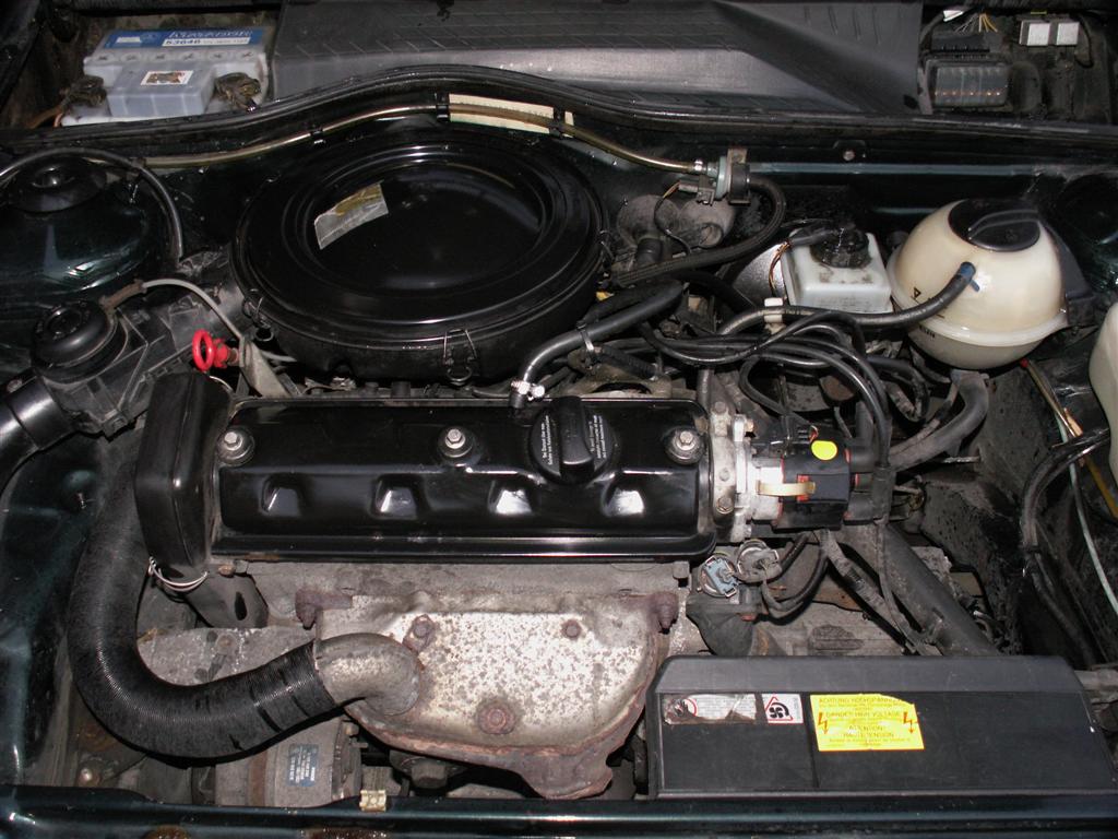 PICT0619 (Large).JPG