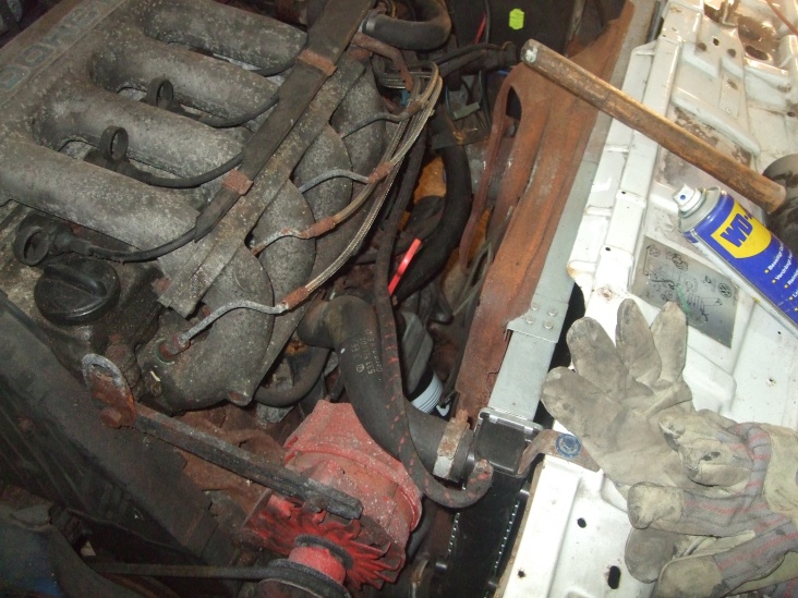DSCF0255.jpg