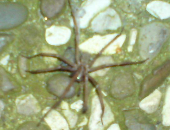 DSC00182.JPG