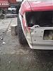 DSC01431.jpg