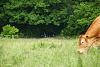 DSC04987.jpg