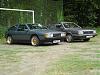 DSC01602.jpg