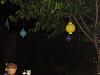 DSC01112.JPG