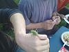 DSC00289.jpg