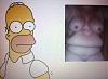 Homer-Simpson-OMG-O.jpg