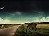 imagesCAP6H3WW.jpg