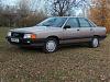 Audi 100 Flamingo 007.jpg