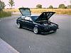 Rocco0049.JPG