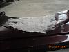 DSCN0389.jpg
