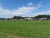 SDC13570.jpg