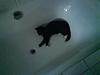 DSC00788.JPG