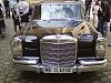 DSC01052.jpg