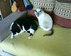 DSC00482.jpg