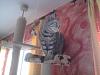 Foto0104.jpg