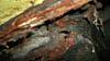 DSCF8073.jpg