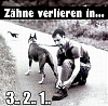 Z&#228;hne....png