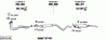 09031650.gif