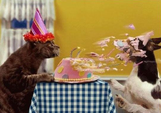 happy Birthday.jpg
