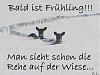 Fr&#252;hling001.jpg