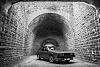 Rocco-68.jpg