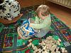 DSC00972-1.jpg